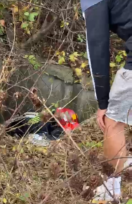 Operațiune de salvare emoționantă! Pompierii din Arad au scos o căprioară care era captivă într-un canal