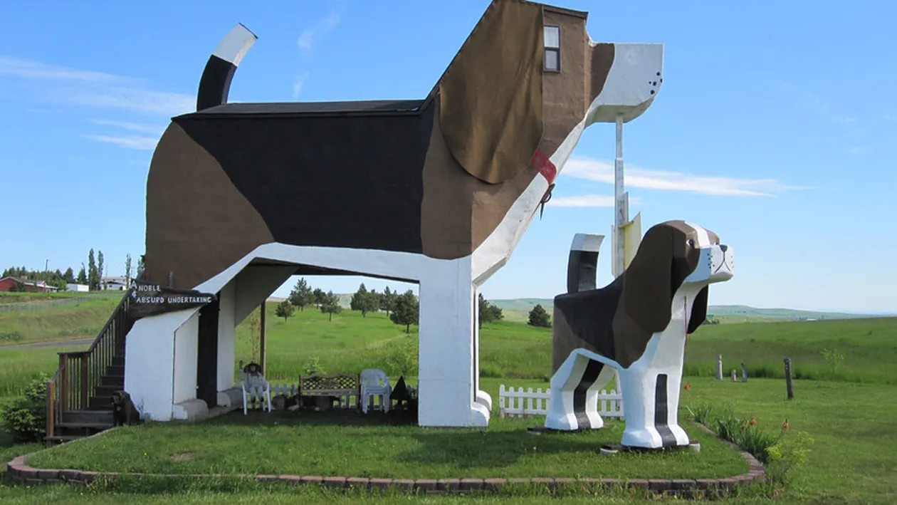 Topul celor mai ciudate cazari din lume! Cat costa sa ai o girafa care sa iti manance dimineata direct de pe geam!