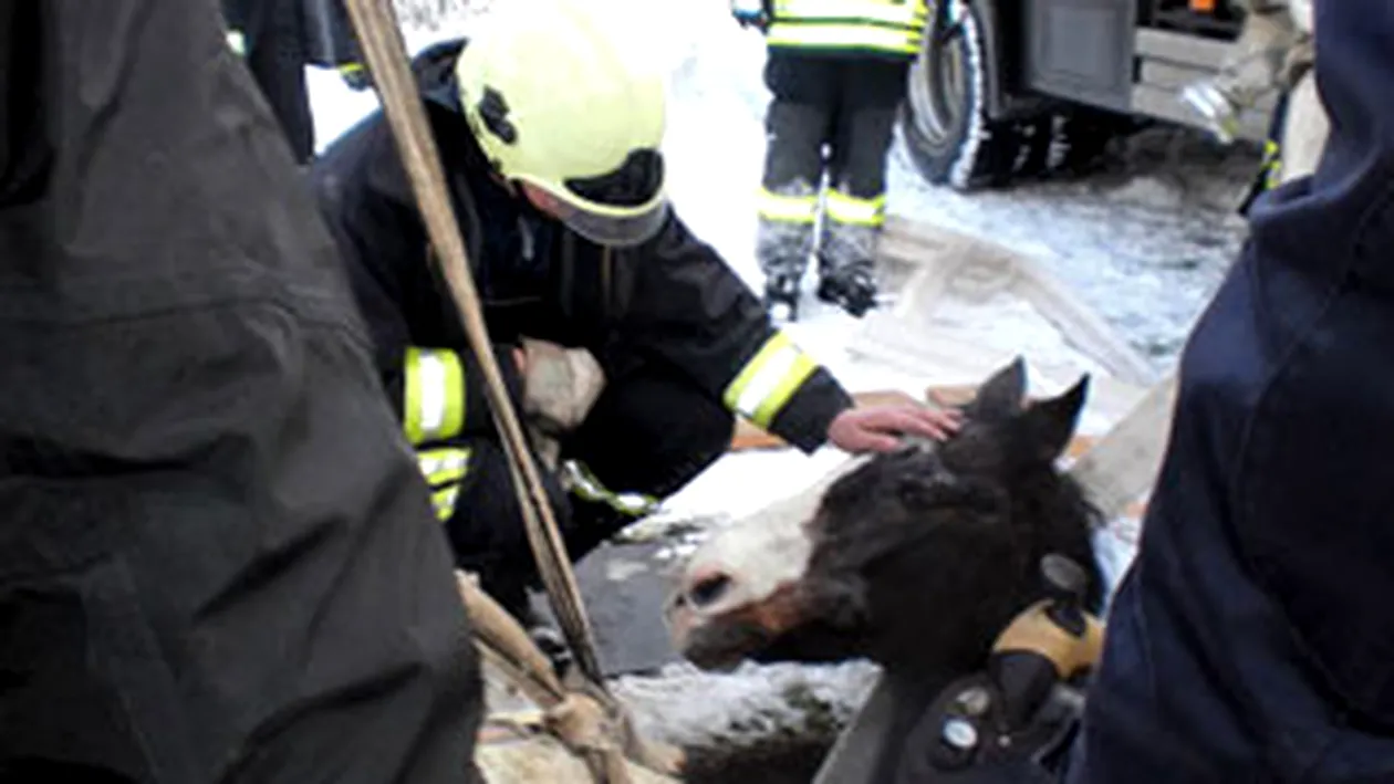 S-a surpat pamantul sub cal