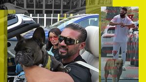 L-a înlocuit cu un maidanez! CANCAN.RO are imaginile de ultimă oră: Dorian Popa a renunțat la Cheluțu