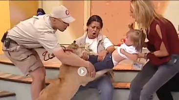 Un copil a fost la un pas să fie muşcat de un leu, în direct! Incidentul a avut loc la TV!