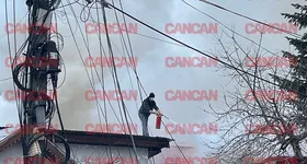 Galerie foto - poza 4