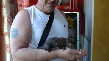 Numai lui Nelson i se putea intampla una ca asta! Dupa ce a fost nevoit sa raspunda pentru veverita lui, a omorat 30 de pesti!