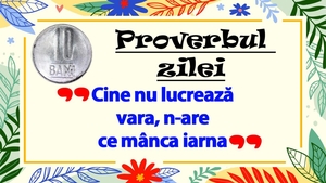 PROVERBUL ZILEI | Cine nu lucrează vara, n-are ce mânca iarna