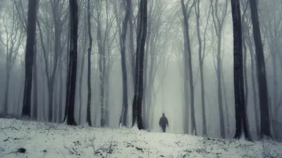 L-au salvat lupii. Povestea incredibilă a unui bărbat găsit viu după 4 zile în zăpadă