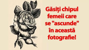 Test IQ din anul 1880 | Găsiți chipul femeii care se "ascunde" în această fotografie din Franța!