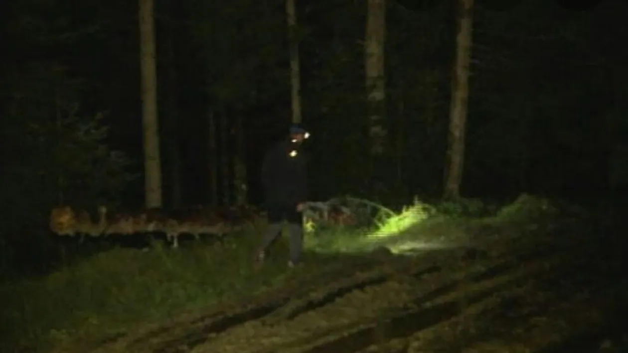 Minoră inconștientă găsită la marginea pădurii. Ce a putut să facă tatăl fetei