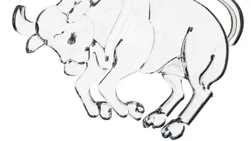 Horoscop zilnic: Horoscopul zilei de 15 noiembrie 2018. Taurii au șanse de afirmare la locul de muncă