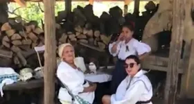 Galerie foto - poza 3