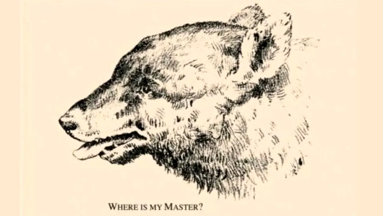 Test de inteligență din anul 1880 | Unde e stăpânul ursului din imagine?
