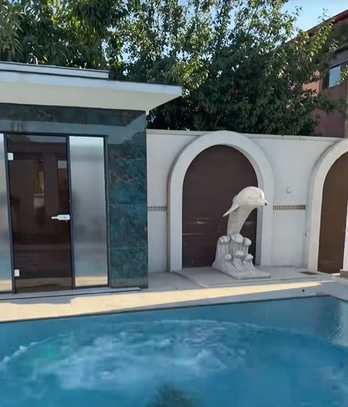 Cum arată curtea lui Costel Biju? Piscina uriașă are un design deosebit