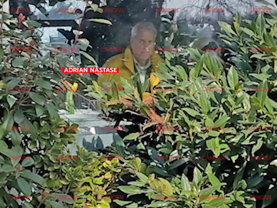 Adrian Năstase și Dana Năstase