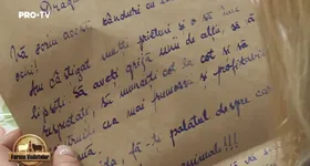 Galerie foto - poza 4