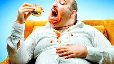 Grasii au creierul mai mic