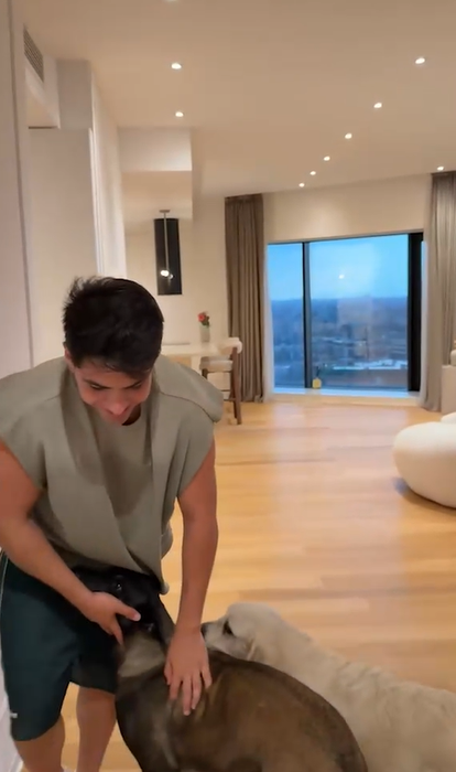 Cum arată penthouse-ul lui Bisoi. Are saună, sală și vedere spre lacul Herăstrău