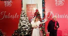 Galerie foto - poza 2