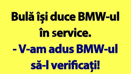 BANC | Bulă are probleme cu BMW-ul