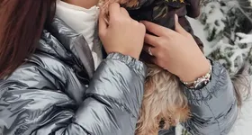 Galerie foto - poza 4