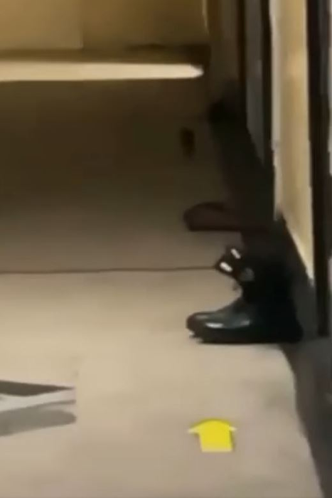 Un șobolan se plimbă pe un hol al căminului de la Academia de Poliție. Sursă: captură video Facebook Sindicatul Europol