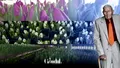Cel mai bătrân florar din Europa a fost din România. Secretul arădeanului care a vândut milioane de flori până în ultima clipă a vieții