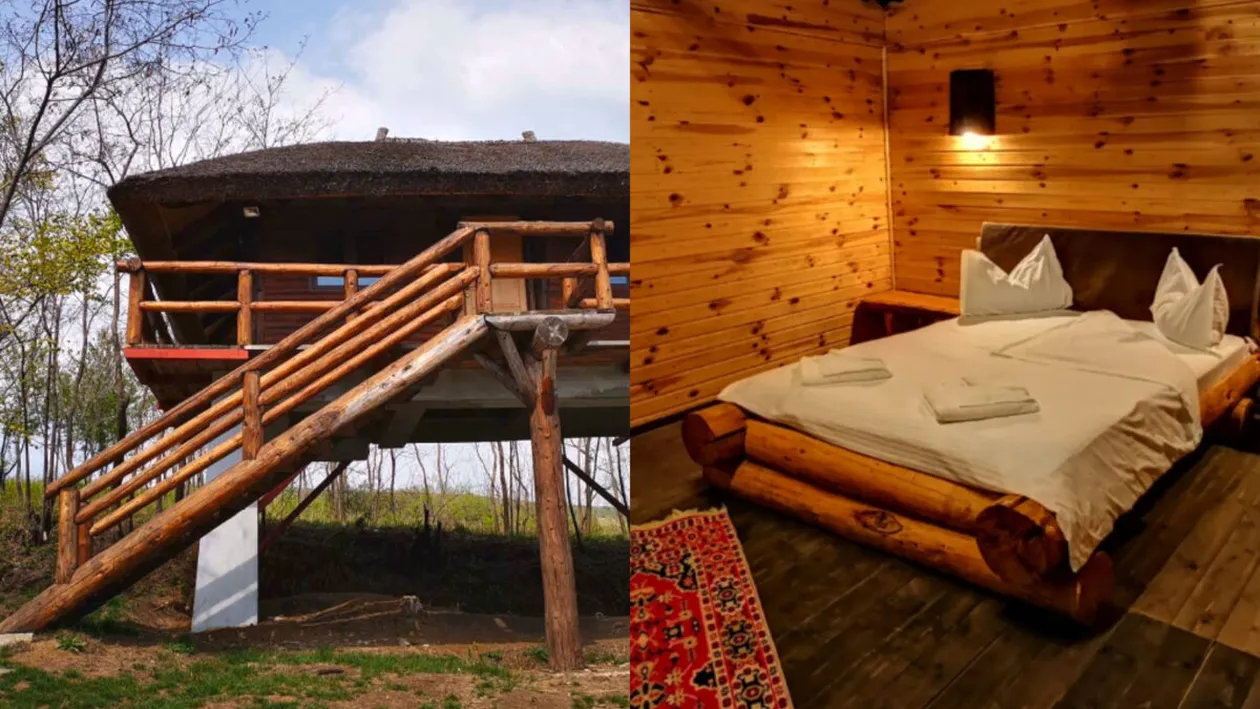 Cât costa o noapte de cazare la Ferma Dacilor. Camerele nu aveau nici măcar televizor