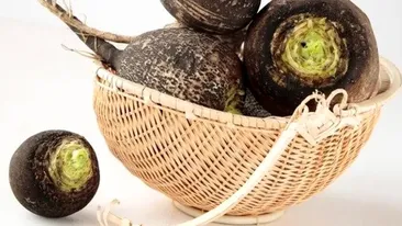 Ridichea neagră, planta minune din grădină. Scade colesterolul, calmează tusea şi previne bolile de inimă