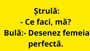 BANC | Bulă desenează femeia perfectă