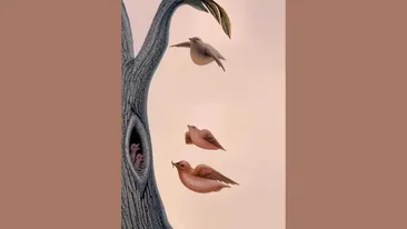 Cel mai tare test psihologic | Ce vezi prima dată în această poză? Răspunsul îți va reliefa cea mai adâncă și secretă dorință