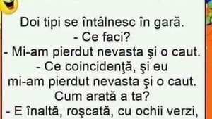 BANC | Doi bărbați se întâlnesc în gară și își caută nevestele