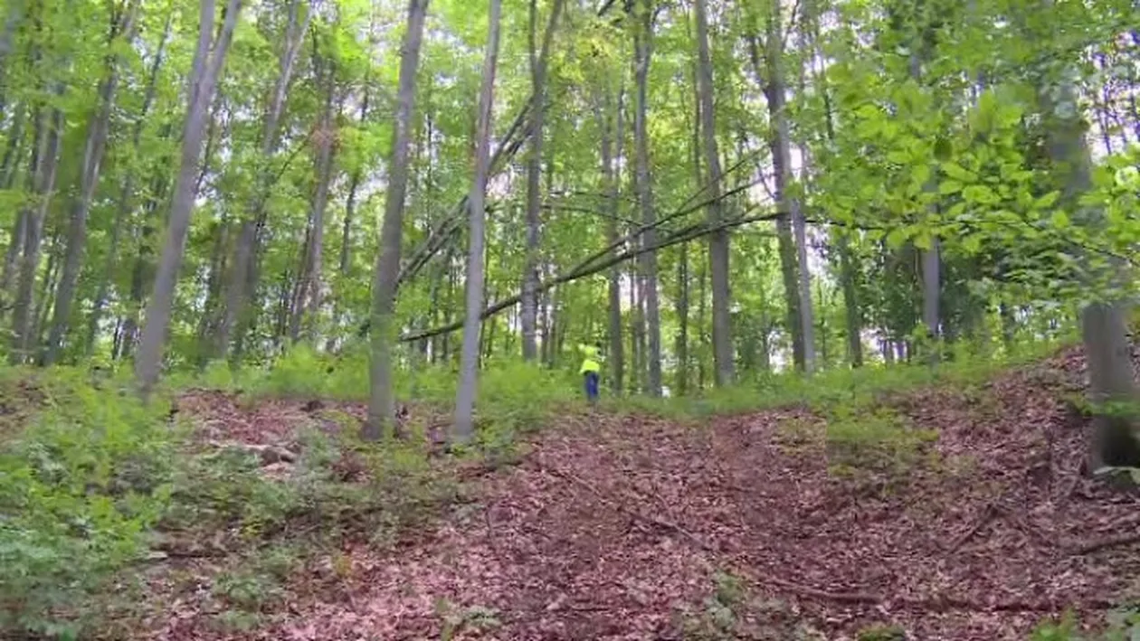 Un pădurar  din Vaslui, în stare gravă, după ce a fost tăiat cu sabia de hoţii de lemne