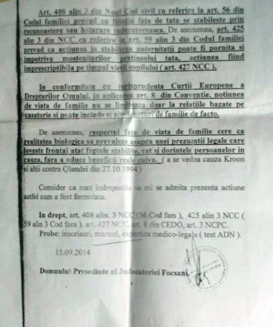 Acţiunea depusă în instantă de Sorina Plăcintă