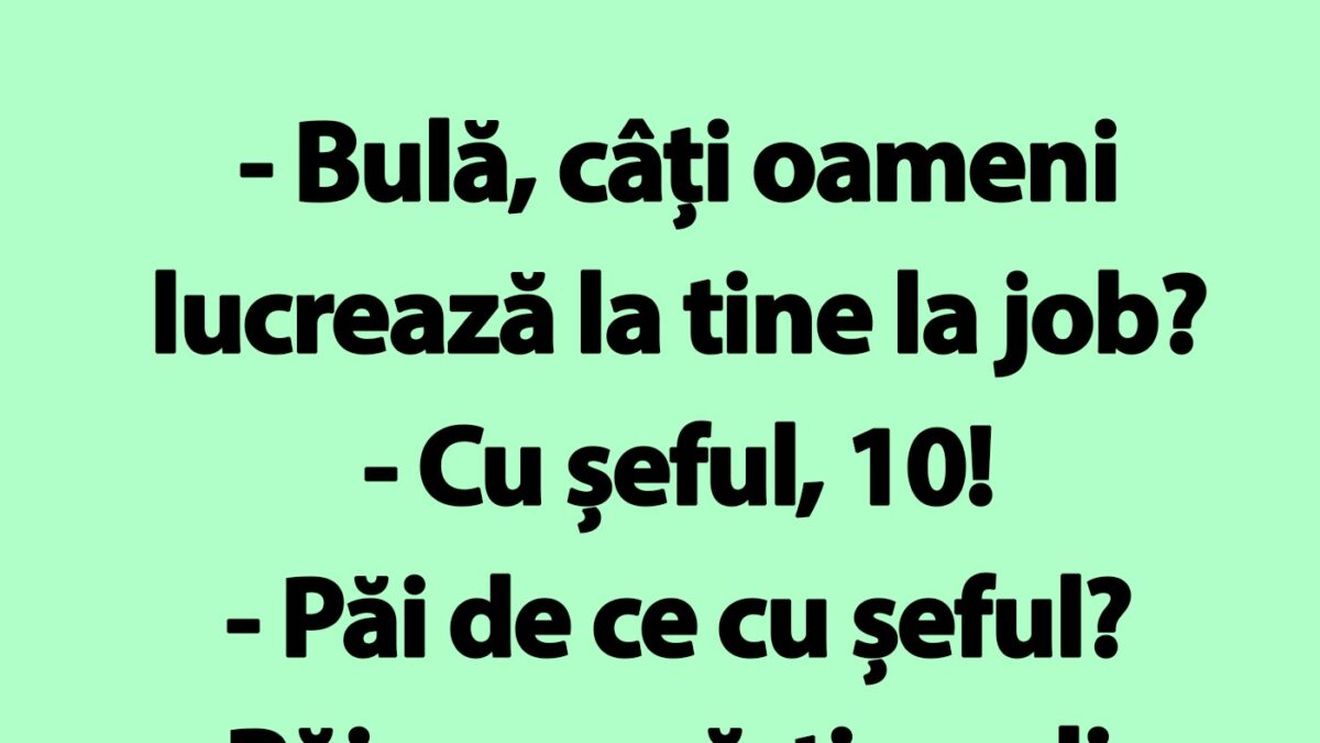 BANC | "Bulă, câți oameni lucrează la tine la job?"