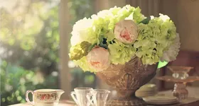 Galerie foto - poza 4