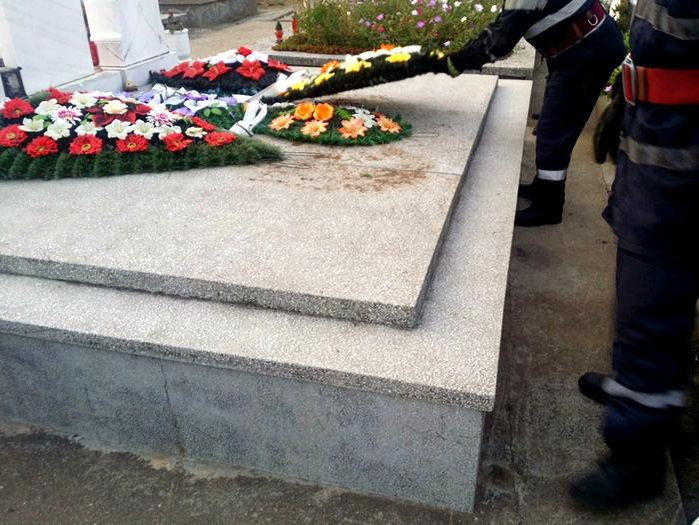 Câine îngropat de viu într-un mormânt dintr-un cimitir din Timiș. Groparii ar fi pus cu bună știință peste el placa de beton a unui cavou. Explicația e halucinantă