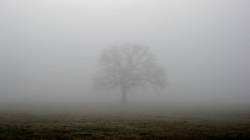 METEO 24 decembrie. Cum va fi vremea in ajun de Craciun!