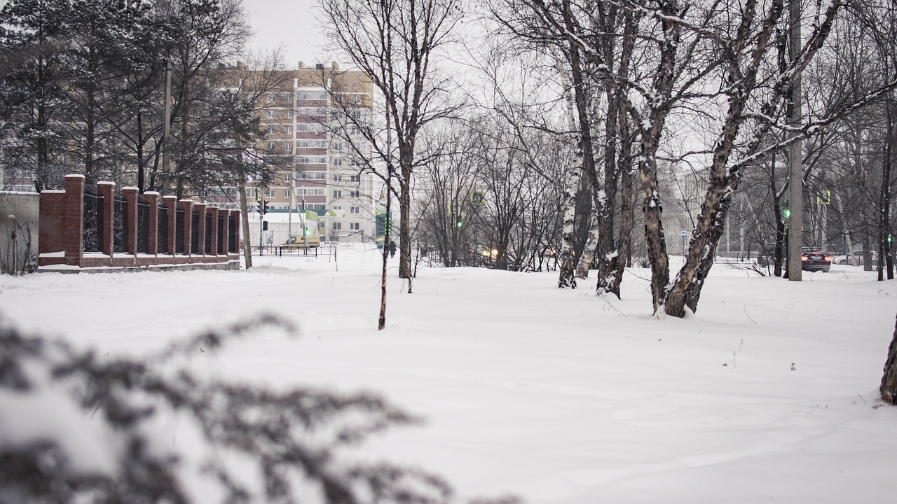 Prognoza meteo pentru marți, 23 decembrie 2025. Vreme preponderent închisă, frig și umitidate accentuată