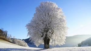 Prognoza meteo 3 decembrie 2019: Meteorologii au anunțat o nouă răcire a vremii! În ce zone va ninge