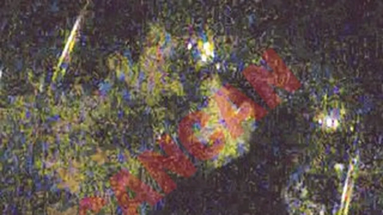 A facut criza de nervi