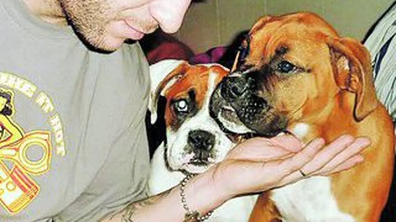 A petrecut Craciunul intre caini!