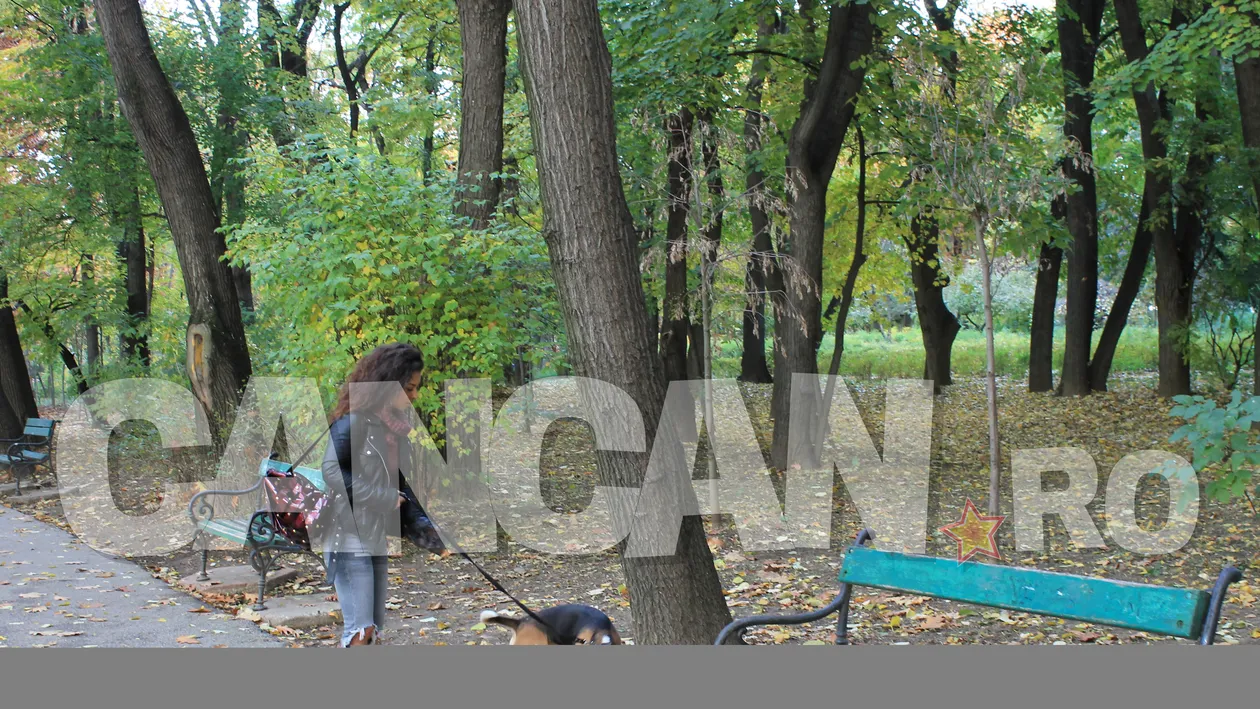 Cine este cel care o face fericită pe AMI! Nu prea reuşim să ne înţelegem, dar ne iubim!”