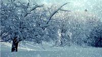 Vin ninsorile în weekend! Care sunt zonele din România care vor îmbrăca straie albe