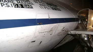 Angajati ai Aeroportului Iasi, cercetati dupa ce au transat mistretul lovit de avionul in care se afla Daniel Funeriu