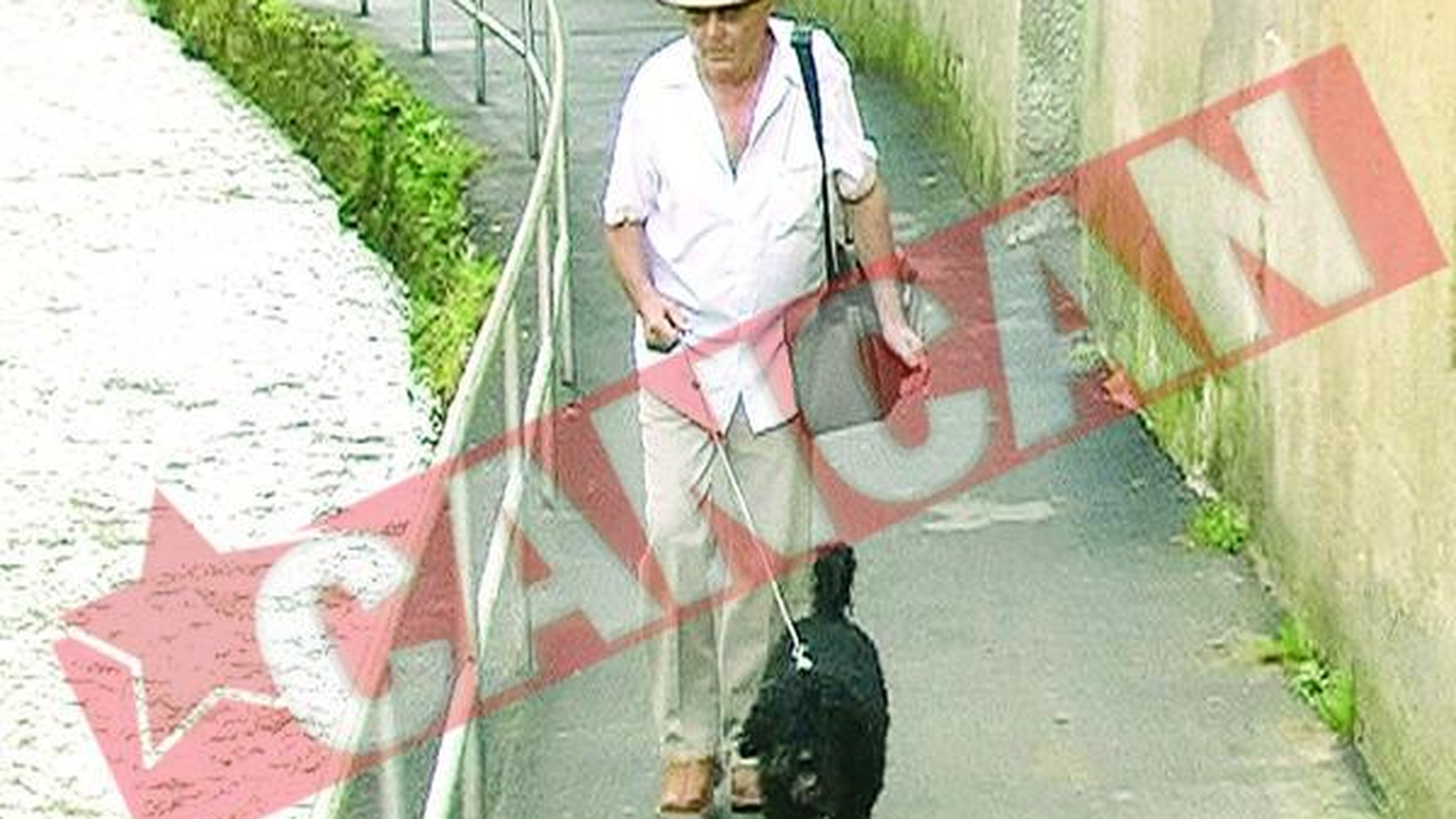 Cainii si pisicile din Brasov, monitorizati cu microcipuri