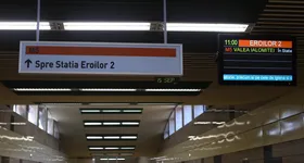 Galerie foto - poza 4