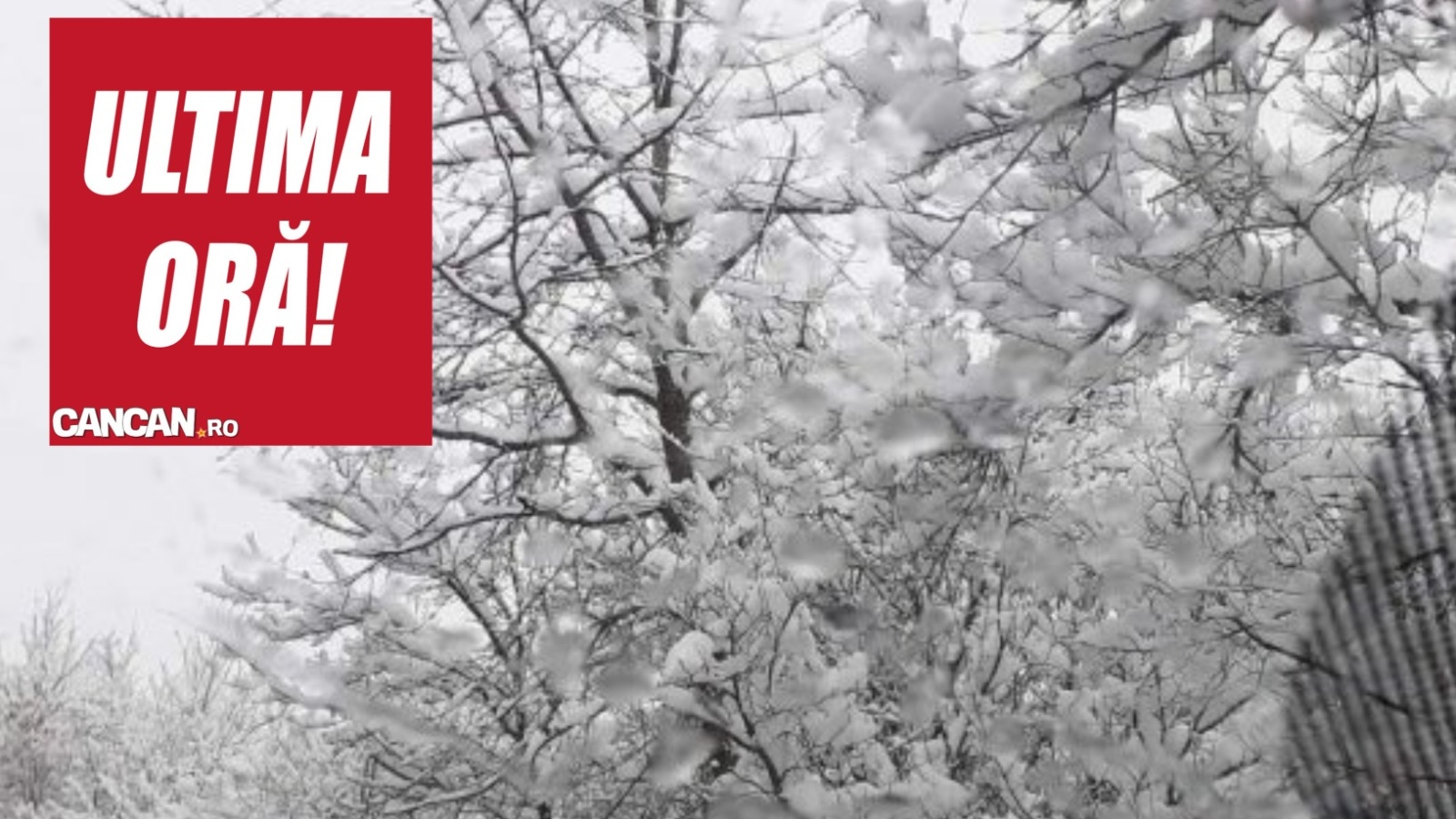 Meteorologii AccuWeather au anunţat că va ninge de Paşte!  Cum va fi vremea în toată ţara