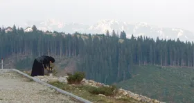 Galerie foto - poza 2