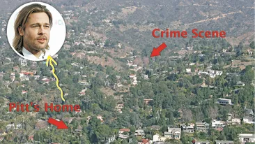 Crima langa vila lui Brad Pitt! Au gasit un cap in parc