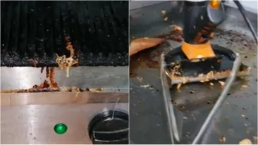 Inspectorii ANPC au lovit din nou! O shaormerie din Capitală a fost noua victimă