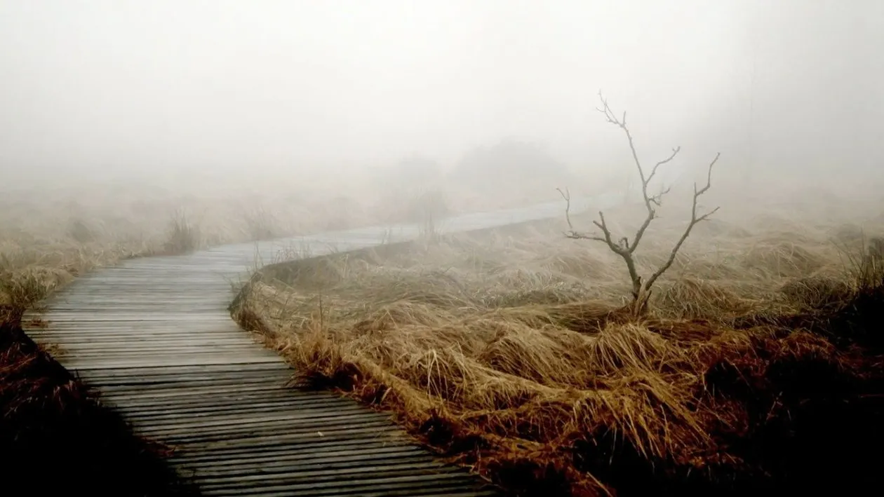 Prognoza meteo. Cod galben de ceață în mai multe județe din țară