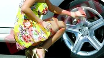 Se maimutareste la comanda